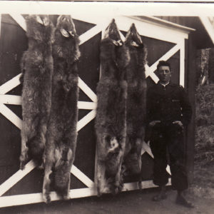 Alfred med ulveskinnene i 1939